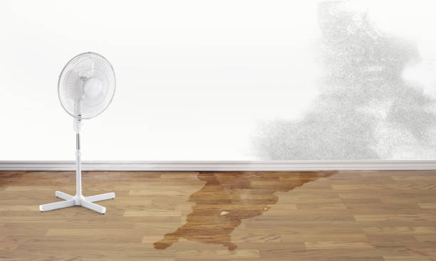 Best 24-hour water damage restoration  in Ardmore, OK