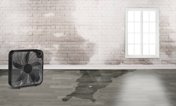 Best Water damage restoration near me  in Ardmore, OK