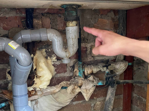 Best Basement water damage restoration  in Ardmore, OK