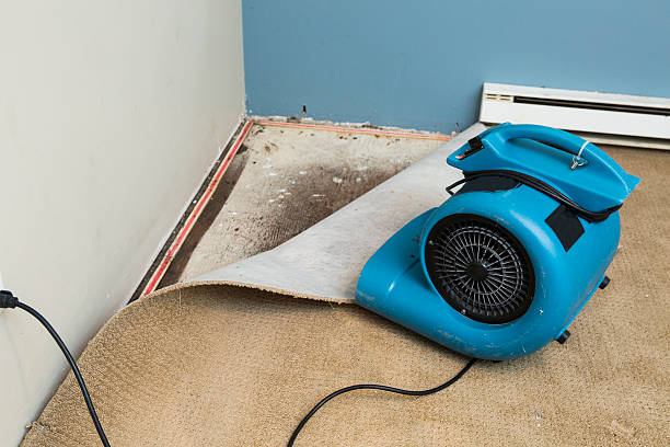 Best Local water damage restoration  in Ardmore, OK
